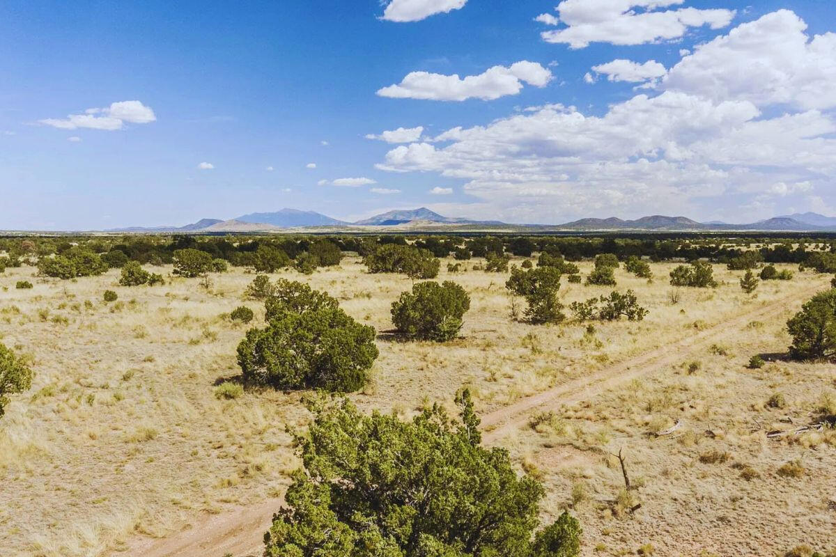 Deep 4 Lots of Trees - 822 S WEDGEWOOD DR WILLIAMS, AZ 86046