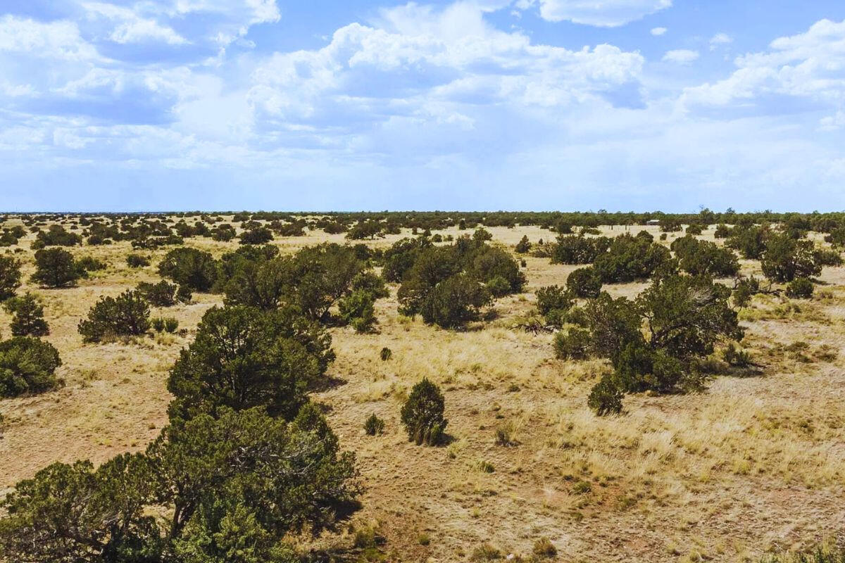 Deep 4 Lots of Trees - 822 S WEDGEWOOD DR WILLIAMS, AZ 86046