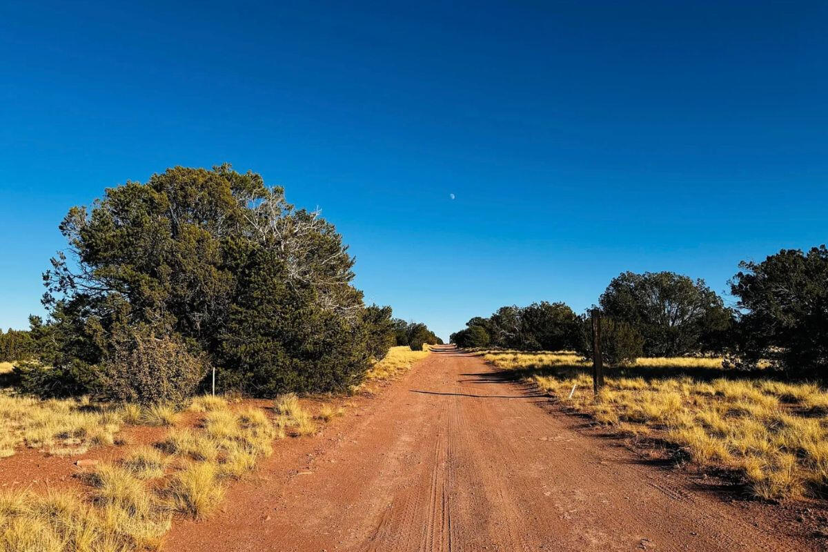Deep 4 Lots of Trees - 822 S WEDGEWOOD DR WILLIAMS, AZ 86046
