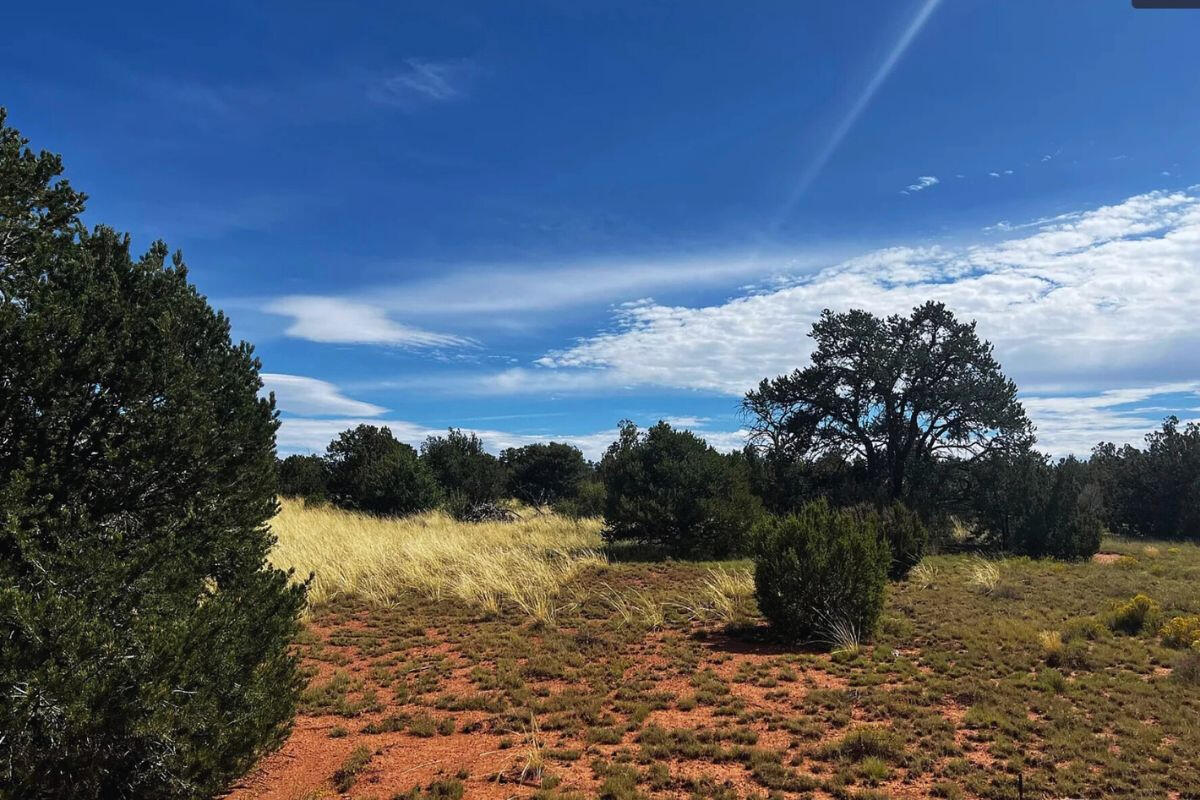 Deep 4 Lots of Trees - 822 S WEDGEWOOD DR WILLIAMS, AZ 86046